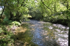 8. Upstream from East Nethercote (12)