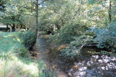 8. Upstream from East Nethercote (13)