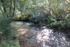 8. Upstream from East Nethercote (15)