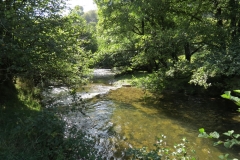 8. Upstream from East Nethercote (16)