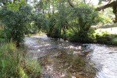 8. Upstream from East Nethercote (17)