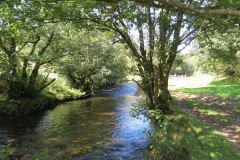 8. Upstream from East Nethercote (18)