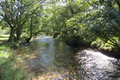 8. Upstream from East Nethercote (19)