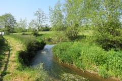 10.-Upstream-from-Rose-Mills-2
