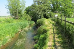 10.-Upstream-from-Rose-Mills-3