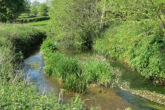 10.-Upstream-from-Rose-Mills-4