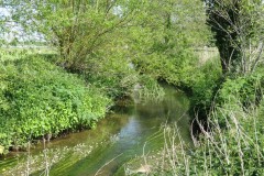 10.-Upstream-from-Rose-Mills-5