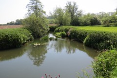 16.-Upstream-from-ROW-Bridge-No-1