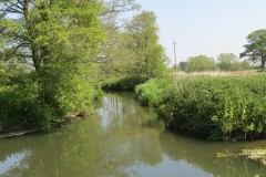 16.-Upstream-from-ROW-Bridge-No-2