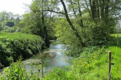 16.-Upstream-from-ROW-Bridge-No-3