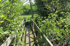 18.-ROW-bridge-862