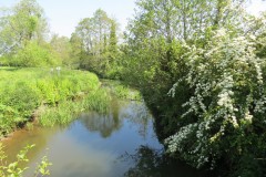 19.-Looking-downstream-from-ROW-bridge-862