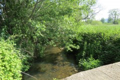 2.-Looking-downstream-from-Rose-Mills-Bridge