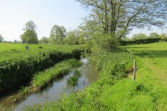 21.-Upstream-from-ROW-Bridge-No-2