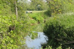 21.-Upstream-from-ROW-Bridge-No-3