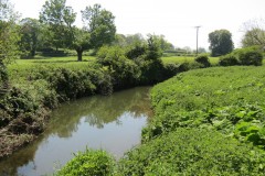 21.-Upstream-from-ROW-Bridge-No-4