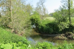 21.-Upstream-from-ROW-Bridge-No-5