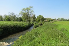 23.-Downstream-from-Donyatt-2