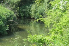 23.-Downstream-from-Donyatt-3