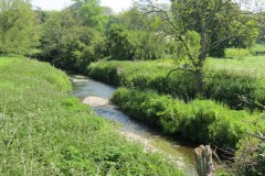 23.-Downstream-from-Donyatt-4