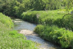 23.-Downstream-from-Donyatt-5