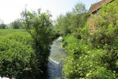 4.-Looking-upstream-from-Rose-Mills-Bridge