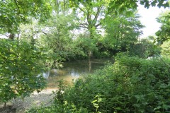 6.-Downstream-from-Rose-Mills-Weir