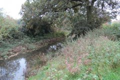 17.-Canal-east-of-Trefusis-bridge-1