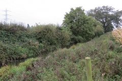 17.-Canal-east-of-Trefusis-bridge-3