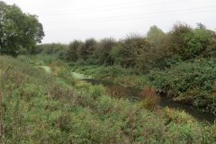 17.-Canal-east-of-Trefusis-bridge-4