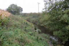 17.-Canal-east-of-Trefusis-bridge-5