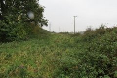 23.-Canal-embankment-west-of-Allerford-lift-2