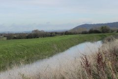 25.-Glastonbury-Tor-from-Near-Stathe