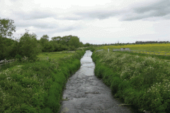 22.-Looking-downstream-from-Meare-Bridge