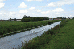32.-Upstream-from-Westhay-Bridge
