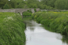 9.-Upstream-of-Meare-Bridge
