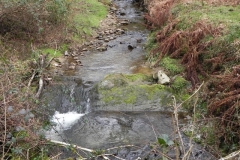 11. Downstream from Langham Wood Ford