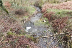 12. Downstream from Langham Wood Ford