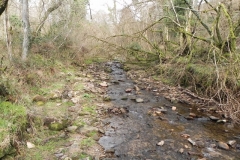 8. Flowing through Langham Wood