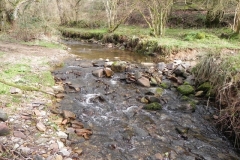 9. Flowing through Langham Wood