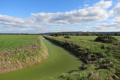 Mear Wall Rhyne