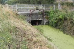 Middle-Rhyne-Sluice-near-Hartlake-Bridge-2