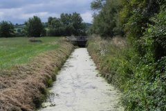 Middle-Rhyne-at-Hartlake-Bridge