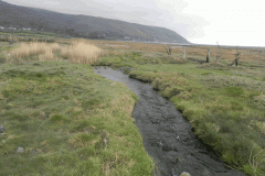 101. Flowing through the salt marshes to the sea