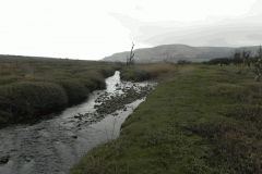 103. Flowing through the salt marshes to the sea