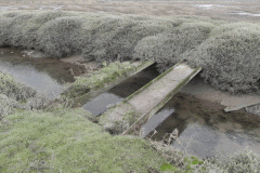 107. Flowing through the salt marshes to the sea