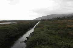 108. Flowing through the salt marshes to the sea