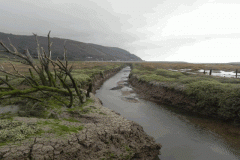109. Flowing through the salt marshes to the sea