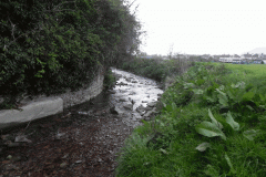 82. Flowing past  Porlock Camping site