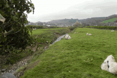 86. Upstream from Sparkhayes Accommodation Bridge